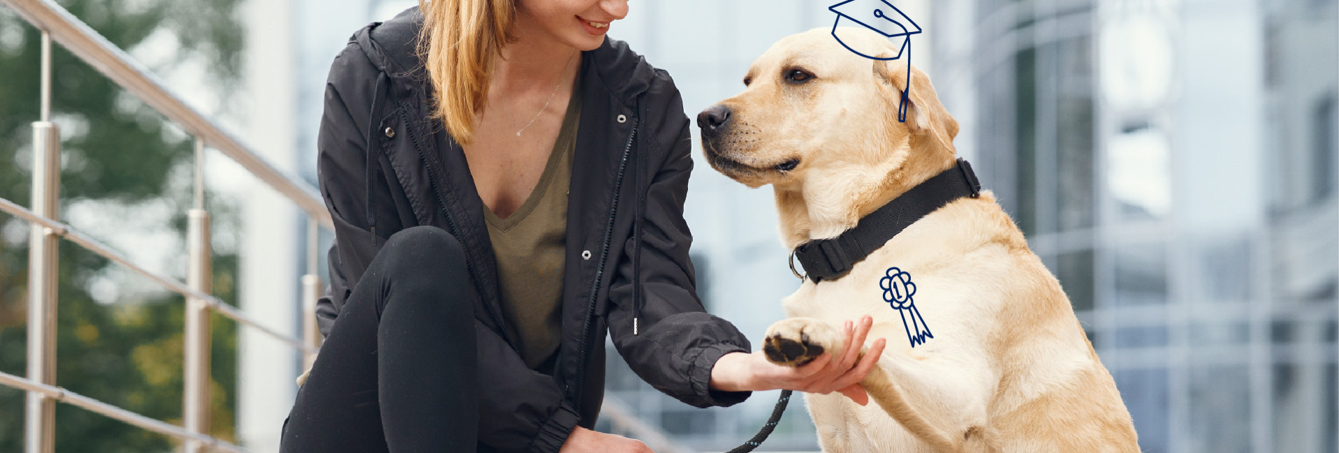 Todo Lo Que Necesitas Saber Sobre Los Labradores Retriever Blog Petco